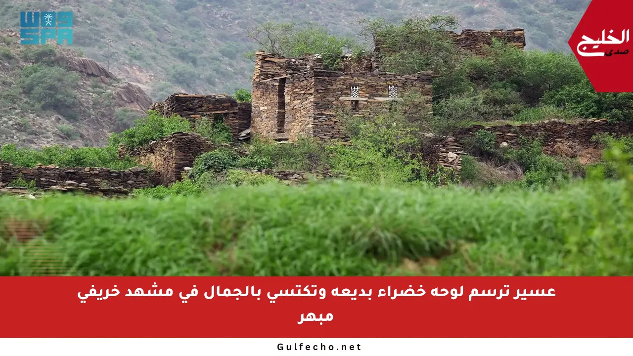 عسير ترسم لوحة خضراء بديعة وتكتسي بالجمال في مشهد خريفي مبهر